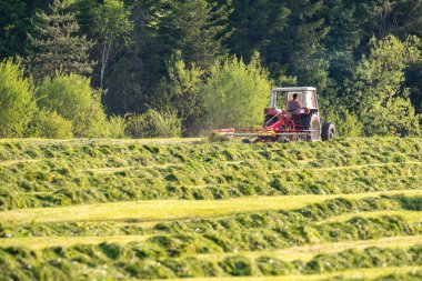 Çim sahada hareket traktör