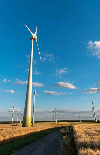 Ветряные мельницы на поле — стоковое фото
