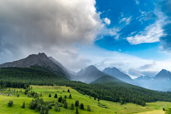 Alpes Alpes Austria — Foto de Stock