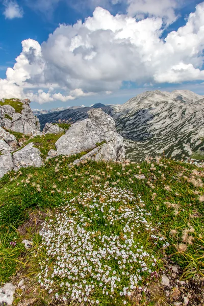 Mountains — Stock Photo, Image