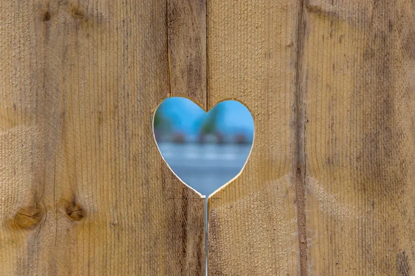 Heart — Stock Photo, Image