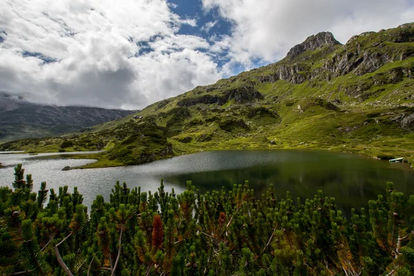 Berge — Stockfoto