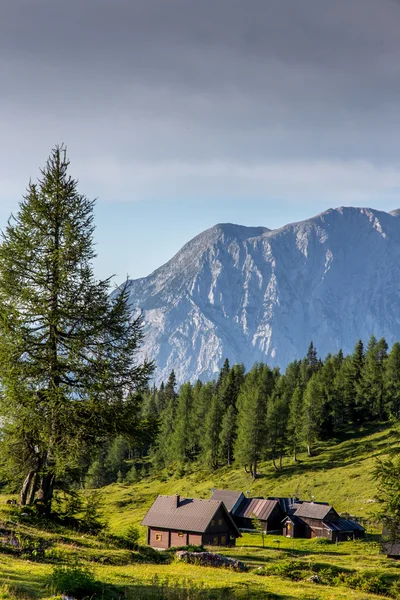 Berg — Stockfoto