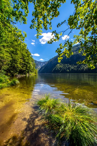 Lago — Fotografia de Stock