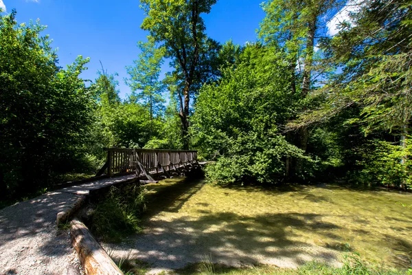 Brücke — Stockfoto