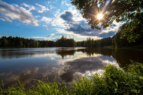 Teich — Stockfoto