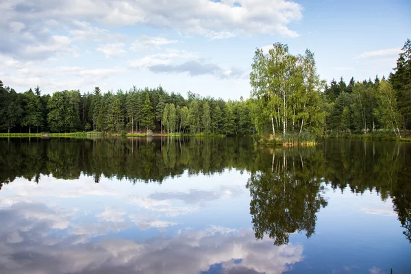 Pond — Stock Photo, Image