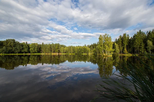 Teich — Stockfoto