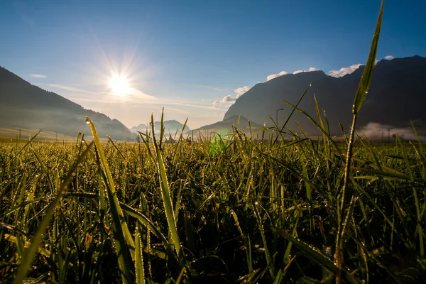 Puesta de sol — Foto de Stock