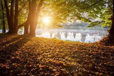 günbatımı üzerinde gölet