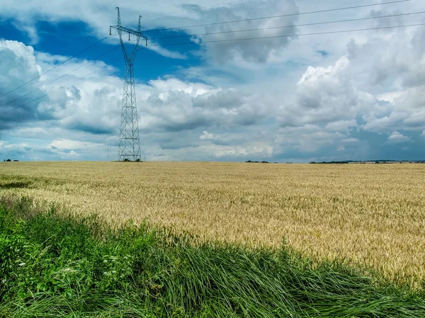 Linee elettriche — Foto Stock