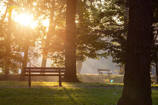 günbatımı üzerinde gölet