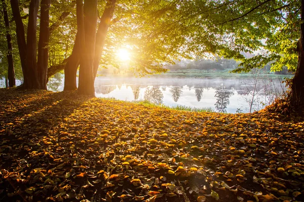 günbatımı üzerinde gölet