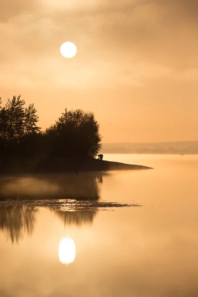 Pôr do sol — Fotografia de Stock