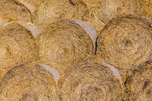 Straw bales — Stock Photo, Image