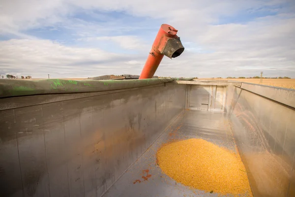 Corn tank — Stock Photo, Image