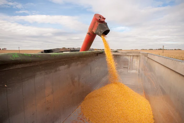 Corn tank — Stock Photo, Image