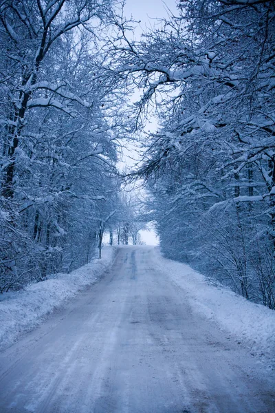 Snöig väg — Stockfoto