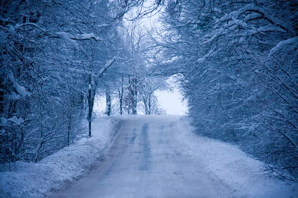 Snowy szlak — Zdjęcie stockowe