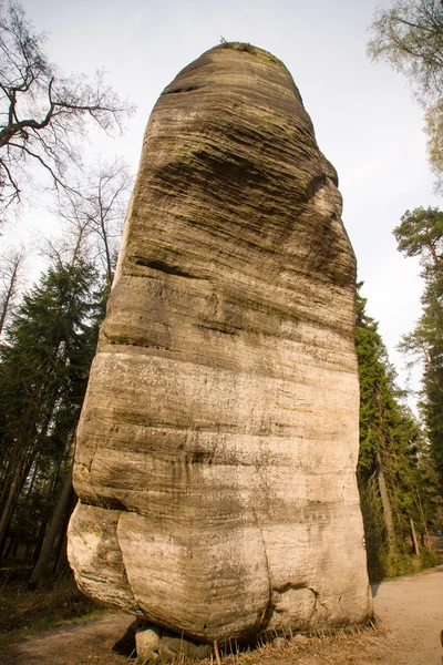 Skała — Zdjęcie stockowe