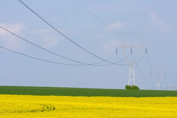 Powerlines — Stok fotoğraf