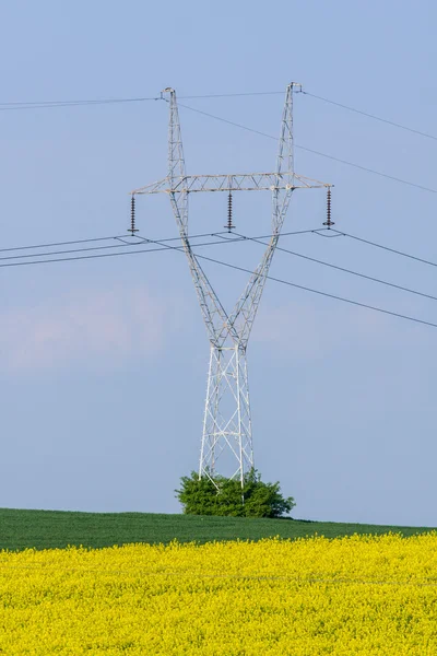 Powerlines — Stok fotoğraf