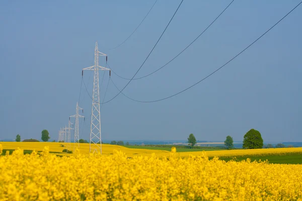 Powerlines — Stock fotografie