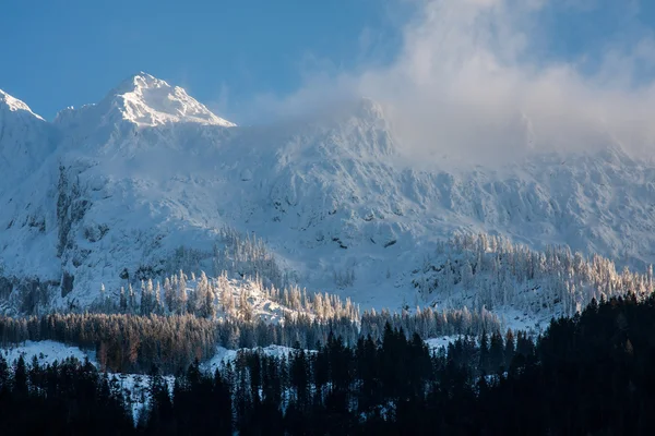 Winter Alpen — Stockfoto