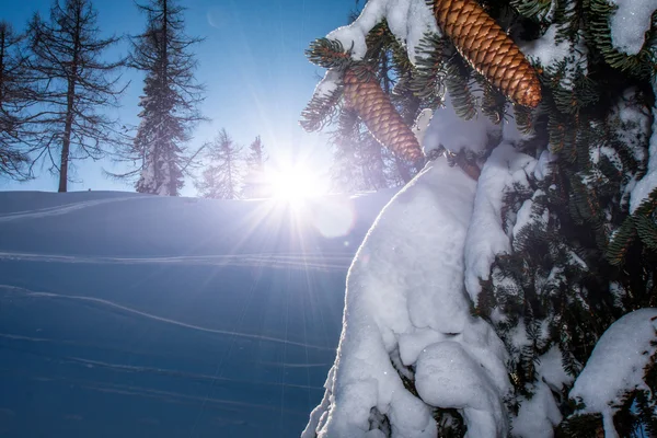 Alpes de invierno — Foto de Stock