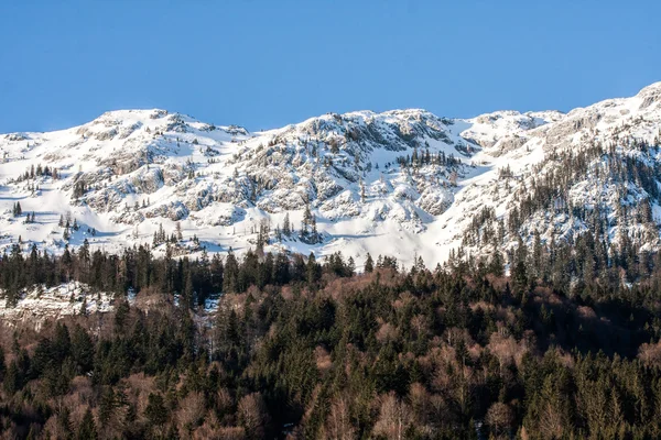 Winteralpen — Stockfoto