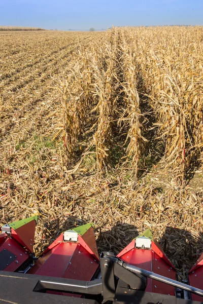 Veld werken — Stockfoto