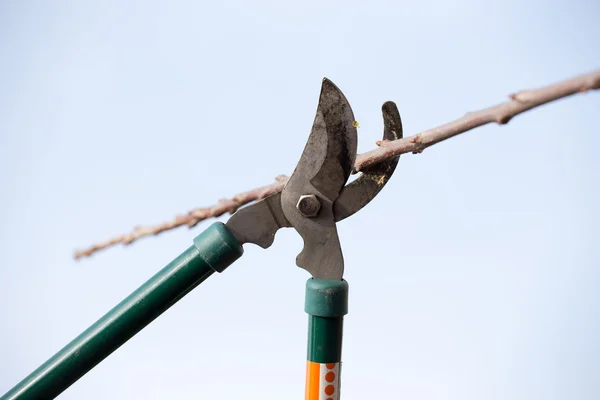 Scissors — Stock Photo, Image