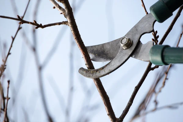 Scissors — Stock Photo, Image