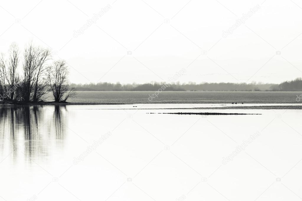 Winter view at the lake