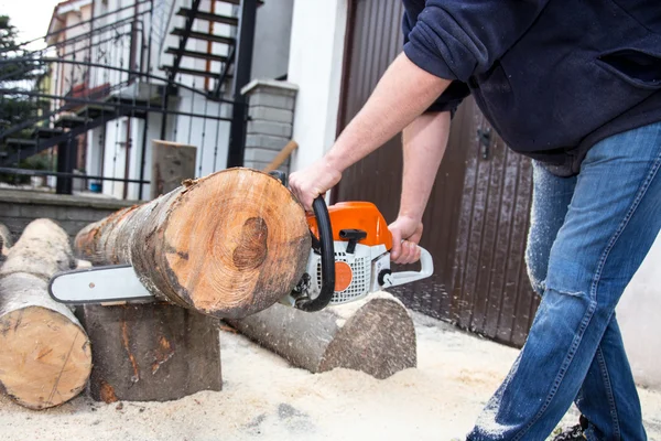 Cutting the tree — Stock Photo, Image