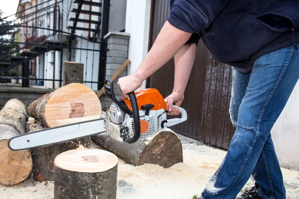 Cutting the tree — Stock Photo, Image