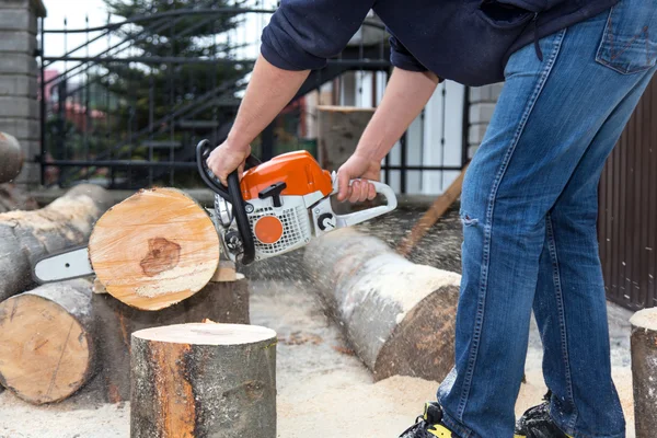 Cutting the tree — Stock Photo, Image