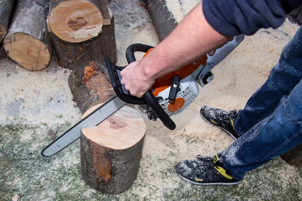 Tagliare l'albero — Foto Stock