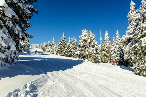 Winter in mountains — Stock Photo, Image