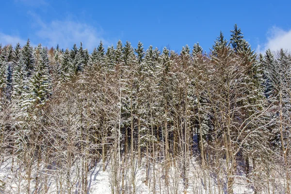 Invierno en montañas — Foto de Stock