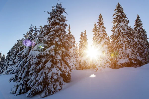 Winterzonsondergang — Stockfoto