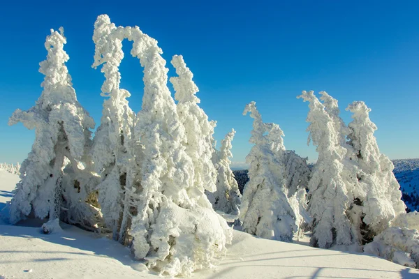 Vinter Alperna Österrike — Stockfoto