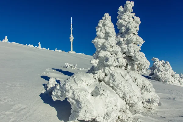 Alpes d'hiver Autriche — Photo