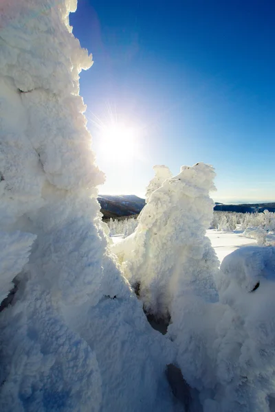 Journée ensoleillée d'hiver — Photo