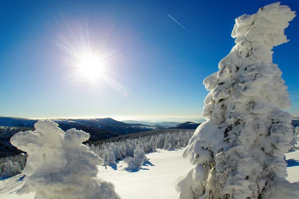 Giornata invernale soleggiata — Foto Stock