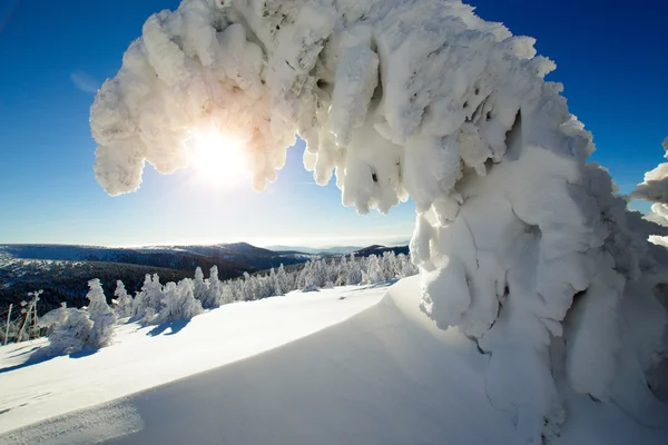 Journée ensoleillée d'hiver — Photo