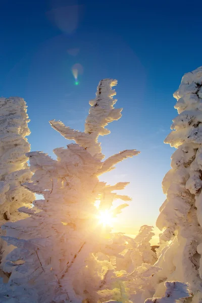 Coucher de soleil sur les montagnes — Photo