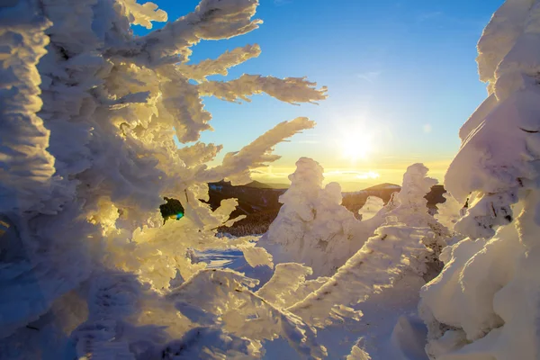 Solnedgång över bergen — Stockfoto