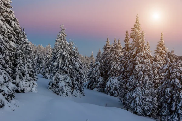 Vintersolnedgång — Stockfoto