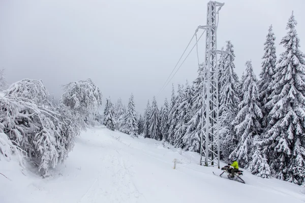 Deep winter — Stock Photo, Image